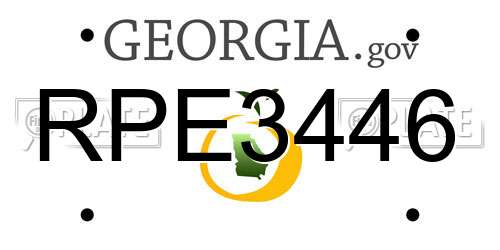RPE3446 Georgia License Plate