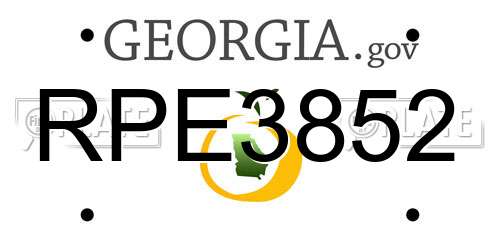 RPE3852 Georgia License Plate