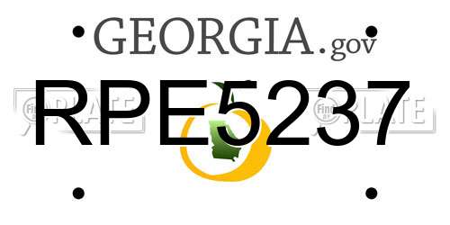 RPE5237 Georgia License Plate