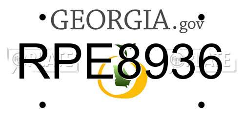 RPE8936 Georgia License Plate