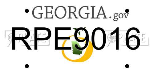 RPE9016 Georgia License Plate