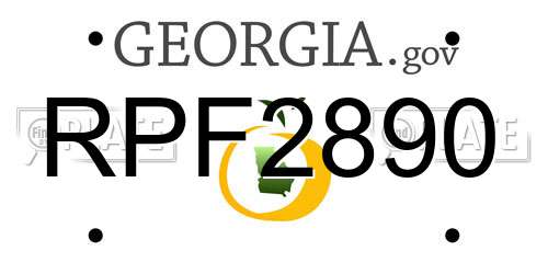 RPF2890 Georgia License Plate