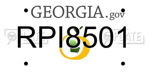 RPI8501 Georgia License Plate