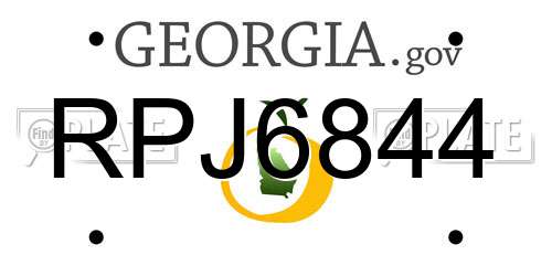 RPJ6844 Georgia License Plate
