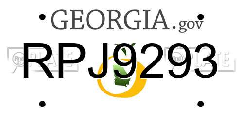 RPJ9293 Georgia License Plate
