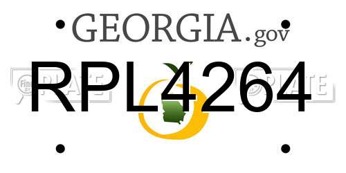 RPL4264 Georgia License Plate