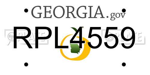 RPL4559 Georgia License Plate