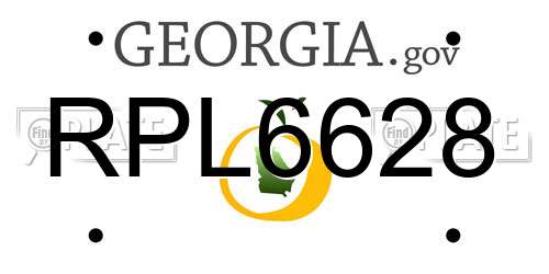 RPL6628 Georgia License Plate