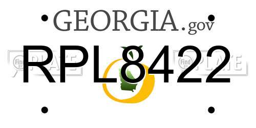 RPL8422 Georgia License Plate