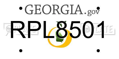 RPL8501 Georgia License Plate