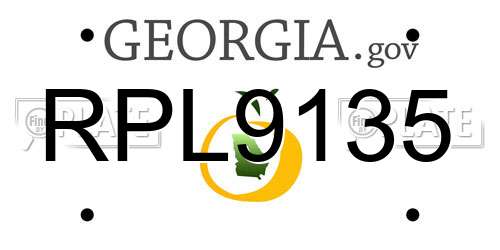 RPL9135 Georgia License Plate