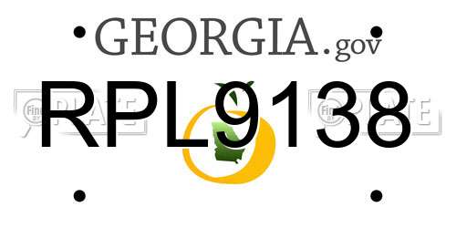 RPL9138 Georgia License Plate