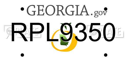 RPL9350 Georgia License Plate