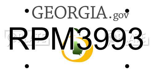RPM3993 Georgia License Plate