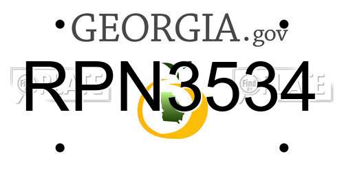 RPN3534 Georgia License Plate