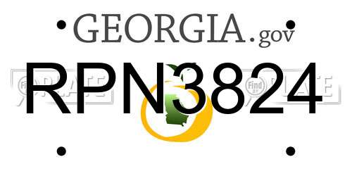 RPN3824 Georgia License Plate