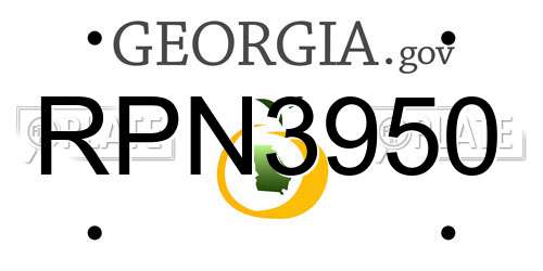 RPN3950 Georgia License Plate