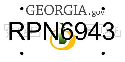 RPN6943 Georgia License Plate