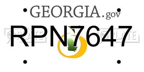RPN7647 Georgia License Plate