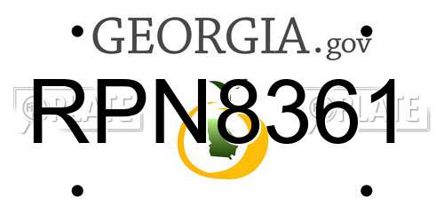 RPN8361 Georgia License Plate