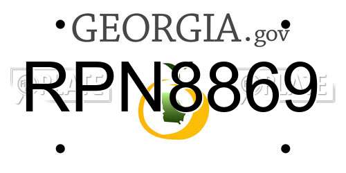 RPN8869 Georgia License Plate