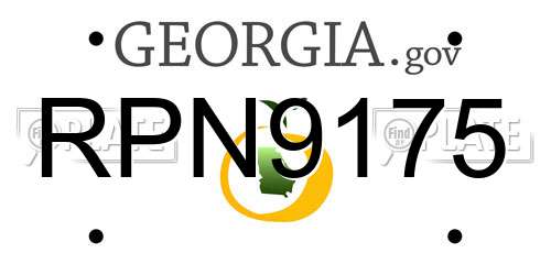 RPN9175 Georgia License Plate