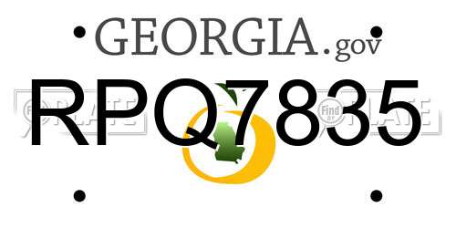 RPQ7835 Georgia License Plate