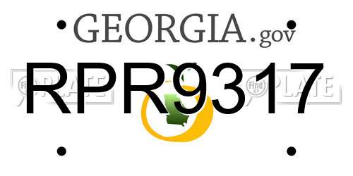 RPR9317 Georgia License Plate