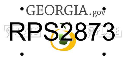 RPS2873 Georgia License Plate