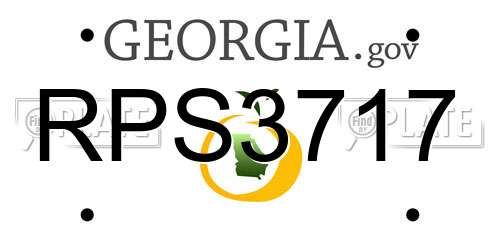RPS3717 Georgia License Plate
