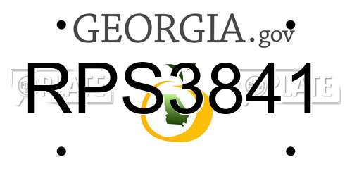 RPS3841 Georgia License Plate