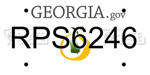 RPS6246 Georgia License Plate