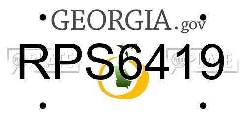 RPS6419 Georgia License Plate