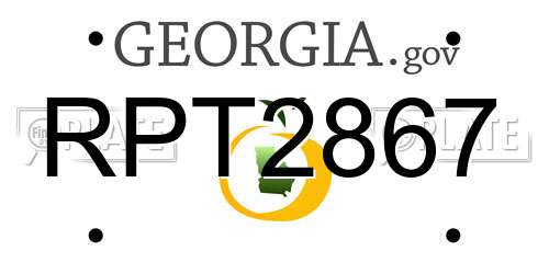 RPT2867 Georgia License Plate