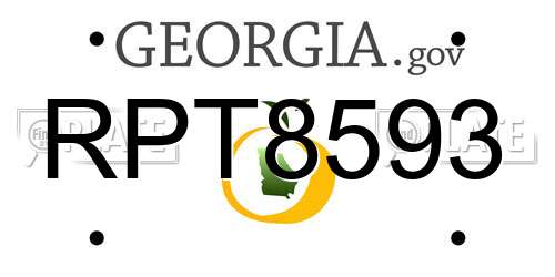 RPT8593 Georgia License Plate