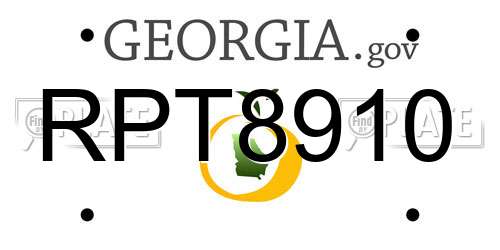 RPT8910 Georgia License Plate