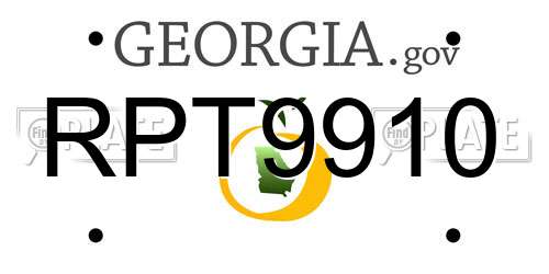 RPT9910 Georgia License Plate