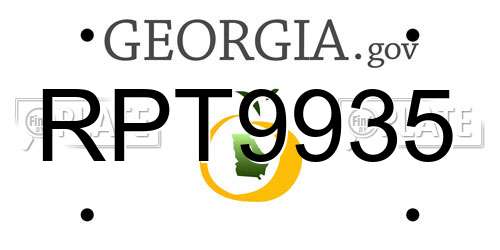 RPT9935 Georgia License Plate
