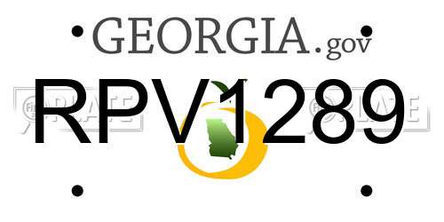 RPV1289 Georgia License Plate