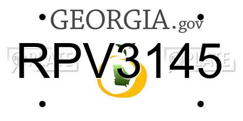 RPV3145 Georgia License Plate