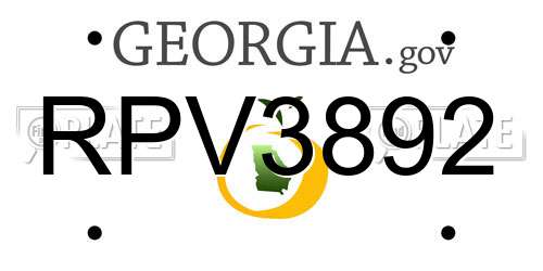 RPV3892 Georgia License Plate