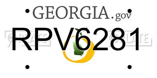 RPV6281 Georgia License Plate
