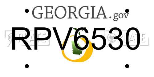 RPV6530 Georgia License Plate