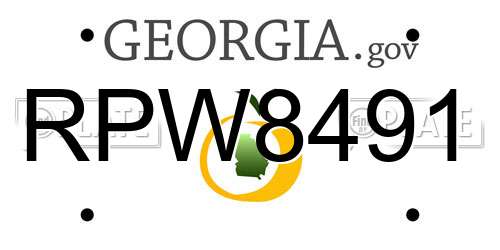 RPW8491 Georgia License Plate