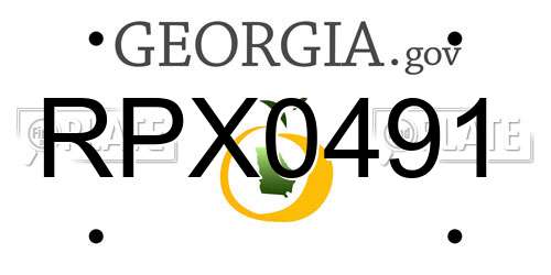 RPX0491 Georgia License Plate