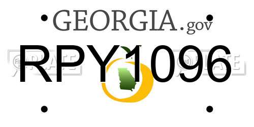 RPY1096 Georgia License Plate