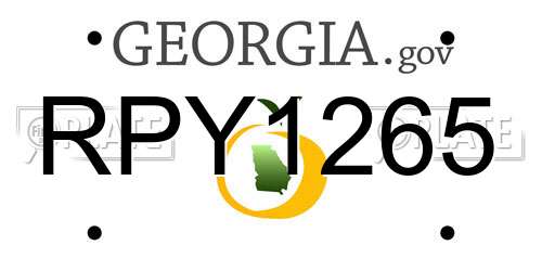 RPY1265 Georgia License Plate
