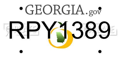 RPY1389 Georgia License Plate