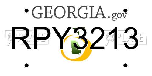 RPY3213 Georgia License Plate