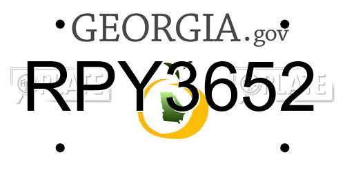 RPY3652 Georgia License Plate